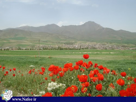 نمایی از روستای رسول آباد -اسدآباد در پشت شقایق