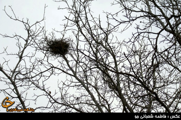 فصل رنگ ها در همدان