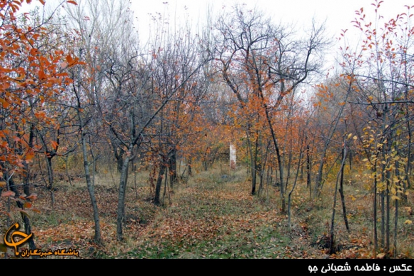 فصل رنگ ها در همدان