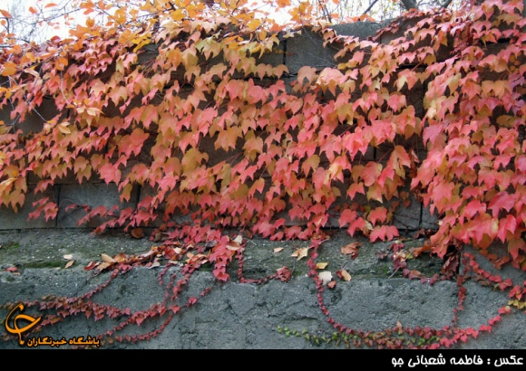 فصل رنگ ها در همدان