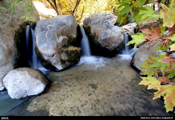 برنگ پاییز...