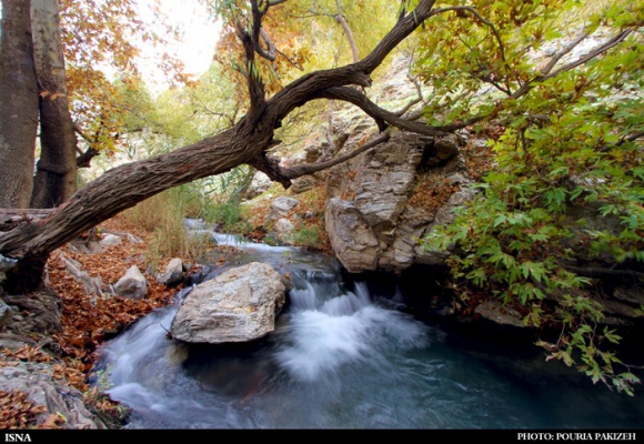 برنگ پاییز...