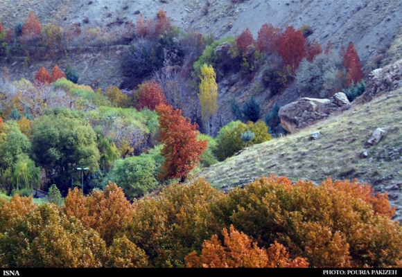 برنگ پاییز...