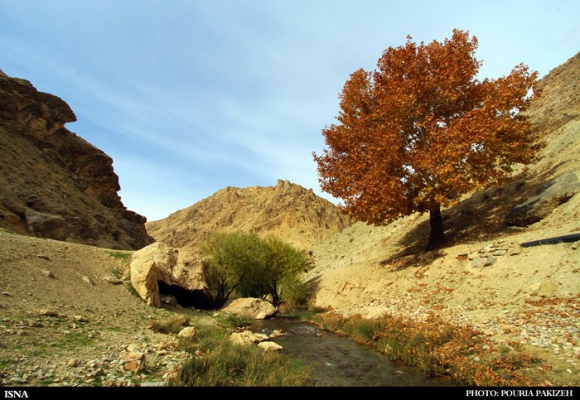 برنگ پاییز...