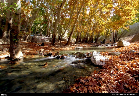 برنگ پاییز...