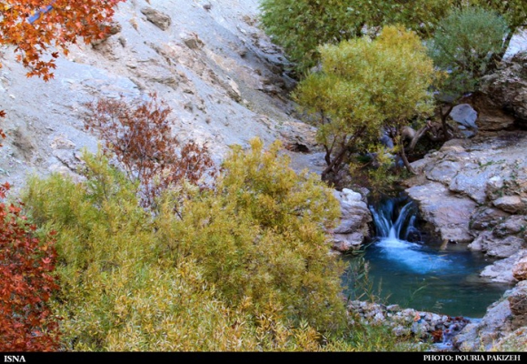 برنگ پاییز...