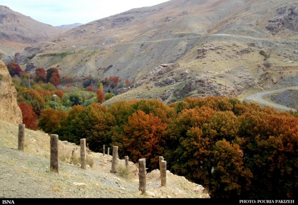 برنگ پاییز...