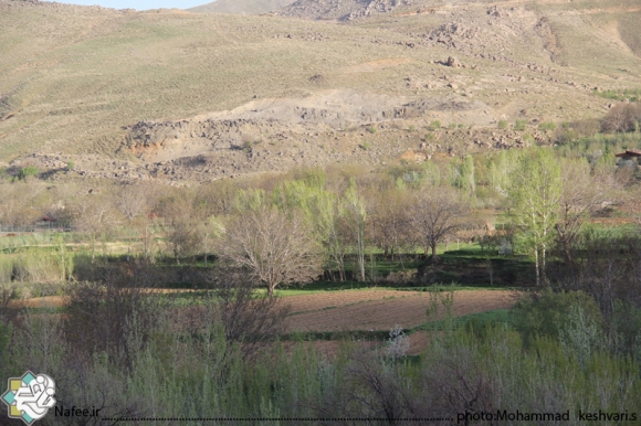 نمایی از امام زاده محسن و مناظر اطراف