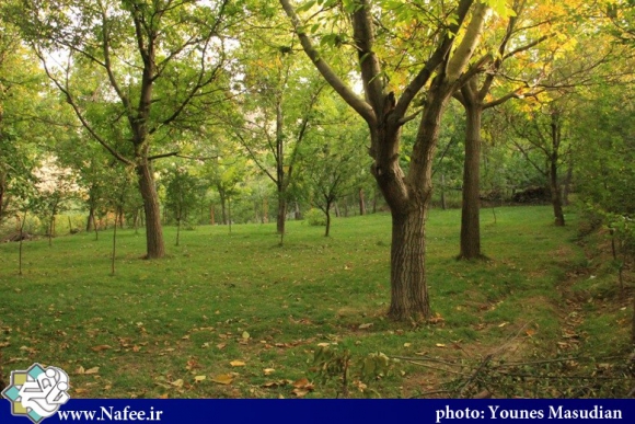 روستای خاکو