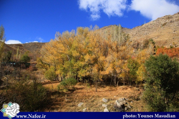 یک روز در کوهستان های همدان