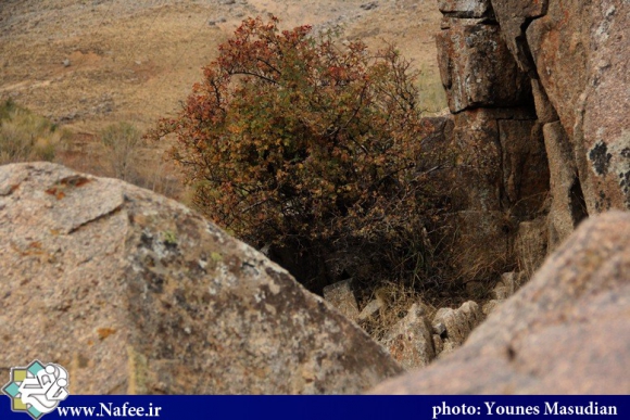 یک روز در کوهستان های همدان