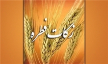 مرجع تقلیدمیزان زکات فطریه امسال را اعلام کردند
