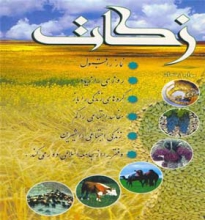 606 میلیون تومان زکات در شهرستان نهاوند جمع‌آوری شد