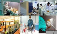 اداره شرکت‌های دانش بنیان به فارغ‌التحصیلان و مدرسان دانشگاهی واگذار شود