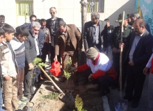 کاشت نهال توسط مسئولان شهرستان نهاوند + تصاویر