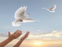 ده مددجوی بند نظامیان زندان همدان آزاد شدند