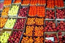«نامرغوبی میوه‌ها» نقل محفل نوروز