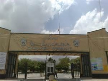  رتبه 11 دانشگاه بوعلی سینا در بین دانشگاه ها و مؤسسات تحقیقاتی ایران 