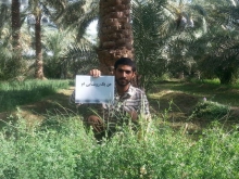 ادای احترام اصحاب رسانه همدان به مقام شامخ شهدا + تصاویر