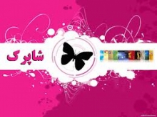 “شاپرک” بال‌های بانکداری الکترونیک ایران را می‌چیند؟ 