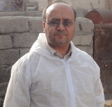 آغاز عملیات مبارزه با بیماری ویروسی لمپی اسکین در نهاوند +تصاویر