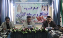 ۷۶ درصد تعهد اشتغال در تویسرکان محقق شد