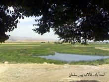 تالاب پیر سلمان جان تازه گرفت