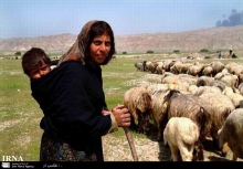  آغاز کوچ قشلاقي عشاير استان همدان 