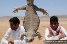 اقدام عجیب نوعروس برای دریافت مهریه