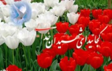 مزار لاله‌ها در سراسر استان عطرافشانی شد