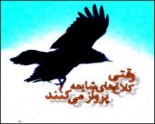 شایعه دخالت نمایندگان در عزل و نصب 