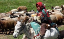 عشاير در حال كوچ در منطقه زاغه گرفتار برف و كولاك شدند