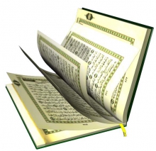فضایل و خواص برخی از سوره ها از زبان امام رضا (ع)