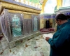 غبارروبی از آستان شاهزاده حسین بن علیالنقی(ع) همدان غبارروبی از آستان شاهزاده حسین بن علیالنقی(ع) همدان