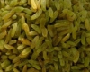 کشمش محصولی استراتژیک برای خروج از اقتصاد تک محصولی