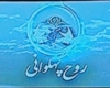 عوامل برنامه «روح پهلوانی» در بدو ورود به جاده همدان دچار سانحه شدند