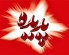 فعالیت غیر قانونی سایت پدیده شاندیز/چرا مسئولان برخورد نمی کنند؟+عکس