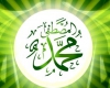 تجمع بزرگ دانشگاهیان در اعلام حمایت از پيامبر عظیم الشان اسلام