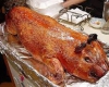 خوردن گوشت خوک موجب بی‌غیرتی می‌شود/خوک 27 بیماری وبایی را به انسان منتقل می‌کند
