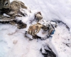 کشف جسد کوه نورد مدفون در برف ، پس از 55 سال 