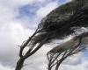 وزش باد در همدان تا چند روز آینده ادامه دارد