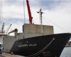 «کشتی نجات» به آب‌های آزاد مقابل یمن رسید/ انتظار یمنی‌ها در سواحل یمن