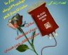 اهدای خون سالم اهدای زندگی 
