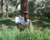 ادای احترام اصحاب رسانه همدان به مقام شامخ شهدا + تصاویر ادای احترام اصحاب رسانه همدان به مقام شامخ شهدا + تصاویر