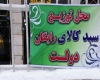 کشف و ضبط مرغ‌های فاسد در محل توزیع سبد کالا +تصاویر