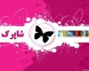 “شاپرک” بال‌های بانکداری الکترونیک ایران را می‌چیند؟ 
