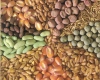 توزیع 9هزار800تن بذر غلات اصلاح شده