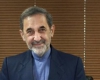 ولایتی رییس مرکز تحقیقات استراتژیک مجمع شد