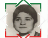 آشنایی با ۱۰ شهید انقلاب شهرستان تویسرکان