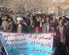 برگزاری پیاده‌روی خانوادگی در تویسرکان